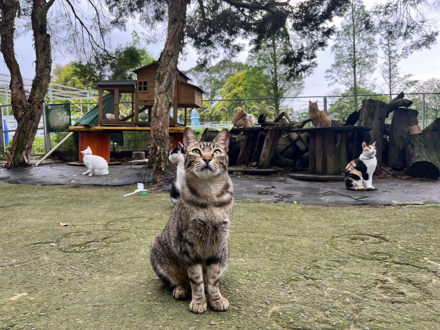 富田花園農場